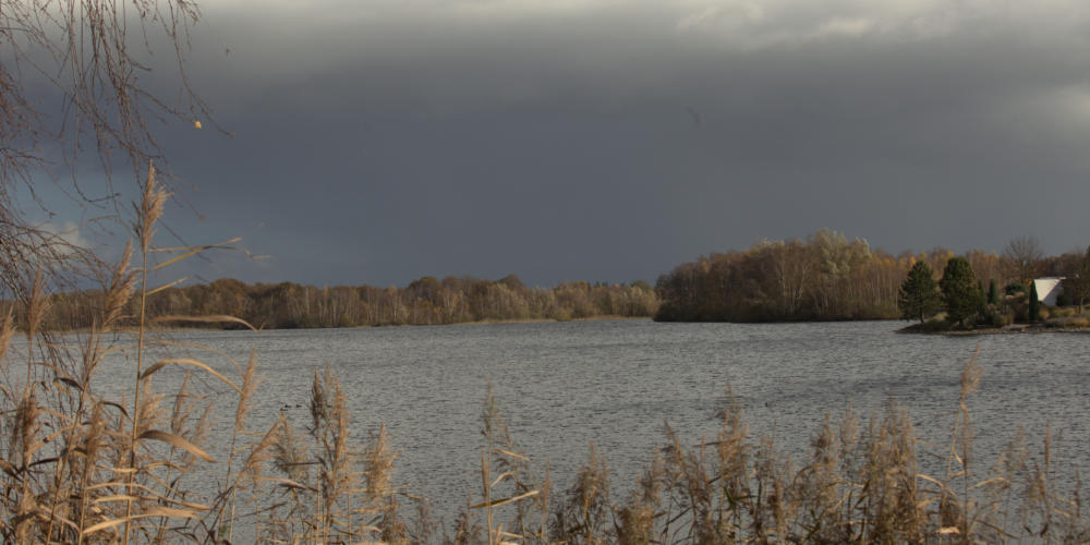 Wandelingen van de Winterserie starten zondag 26 oktober in en rond Mill