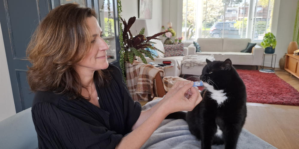 Cat Studio in Mill: kattentrimmen kan bij u aan huis