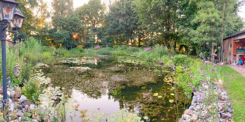 De kruidentuin Ontcijferen in Langenboom