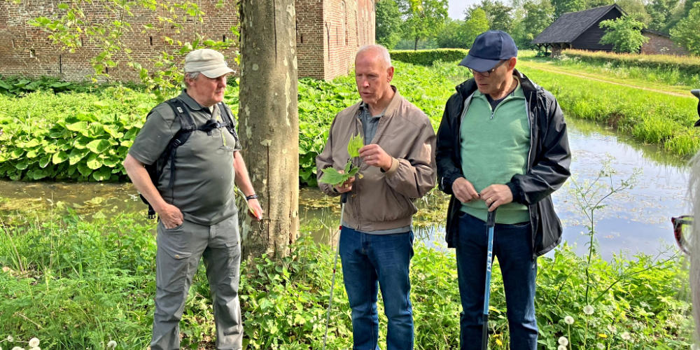 Zondag 14 juni: gratis wandeling voor blinden en slechtzienden op Tongelaar