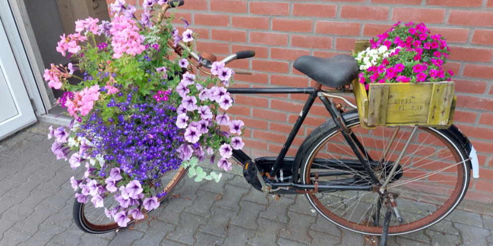 Uit het leven gegrepen