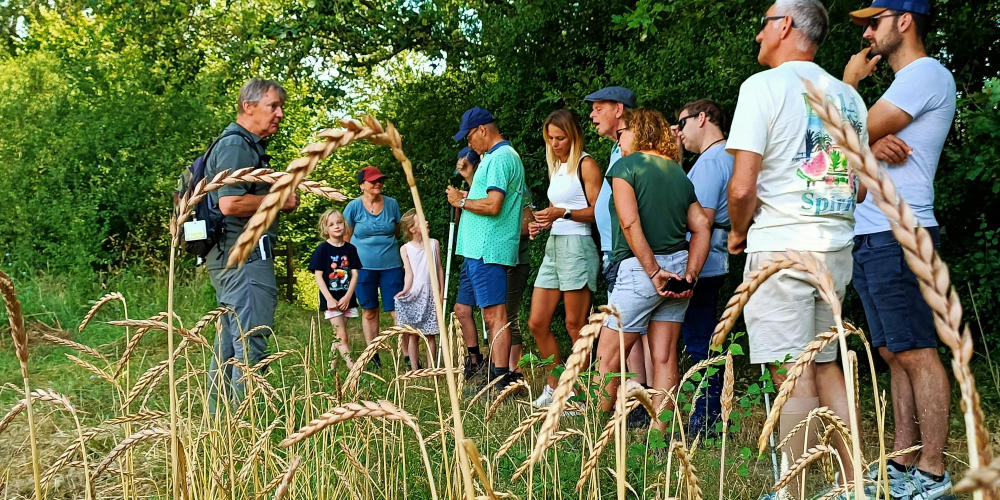 Zondag weer zomerwandeling voor blinden en slechtzienden op Tongelaar